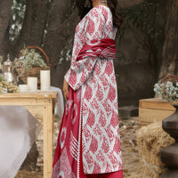 Vol 2606 – Sassi Luxury Lawn 3 Piece stitched Suit — 2