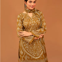 SASSI Vol-5005 – Premium Pre-Shrunk 3 Piece Unstitched Cambric Cotton Suit — 2